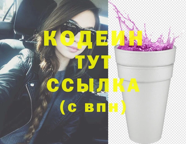 мдпв Елабуга
