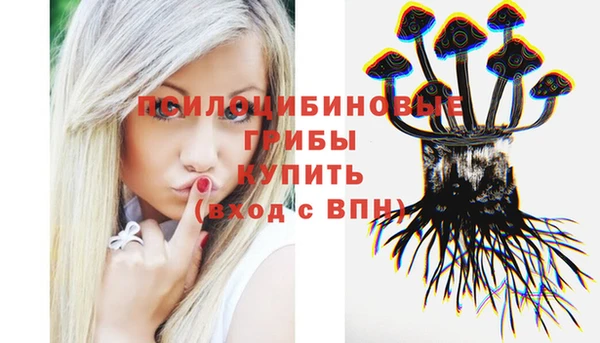 герыч Заволжск