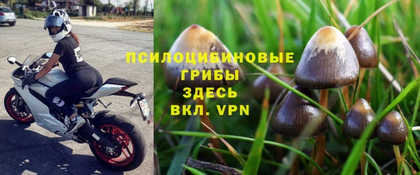 дистиллят марихуана Заводоуковск