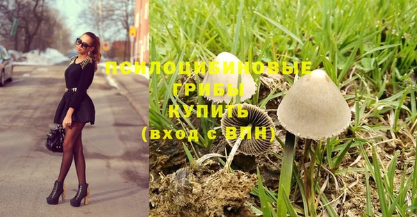 а пвп мука Заволжье